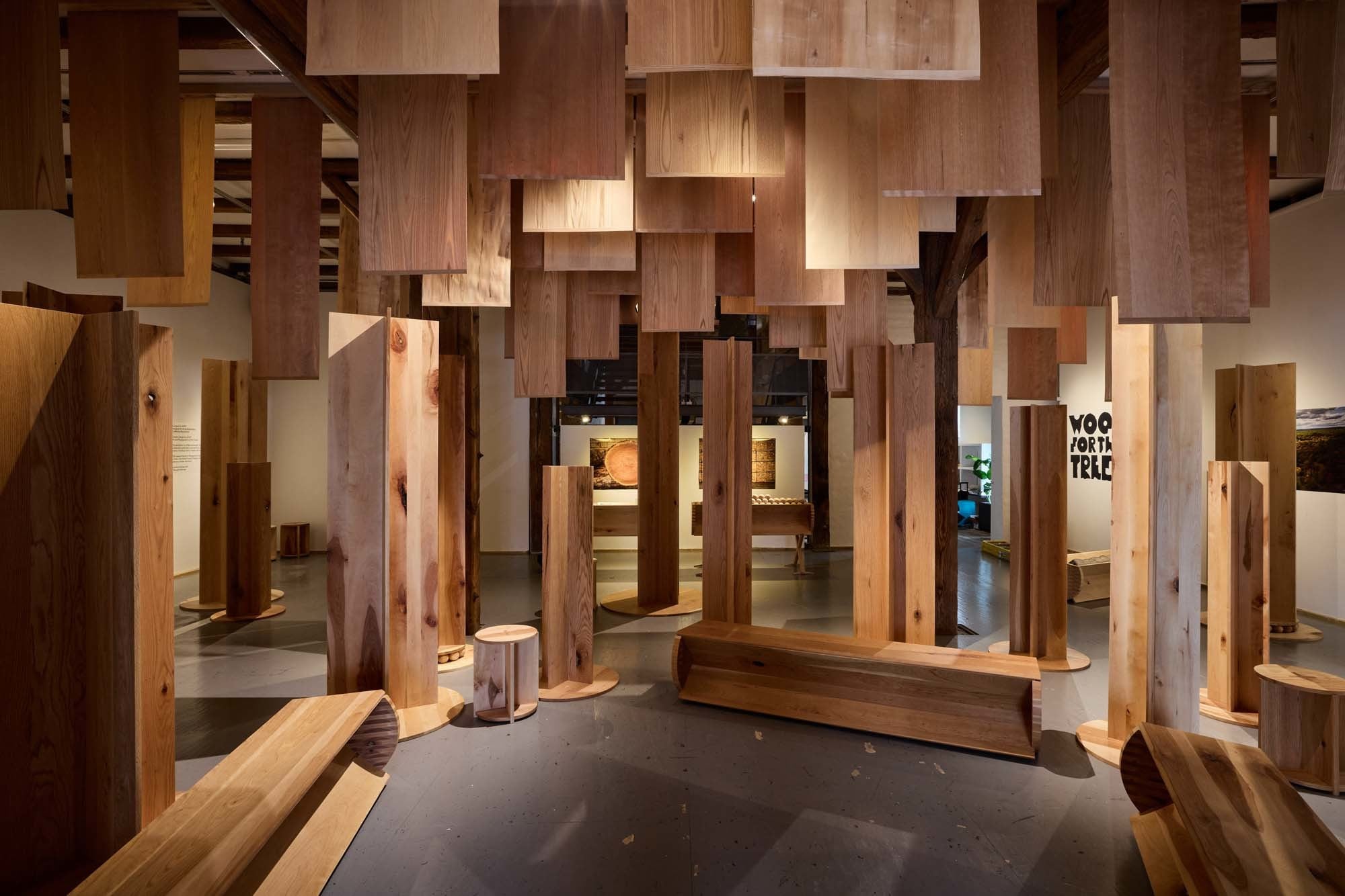 Die Ausstellung Wood for the Trees von AHEC bei Material Matters auf den 3daysofdesign