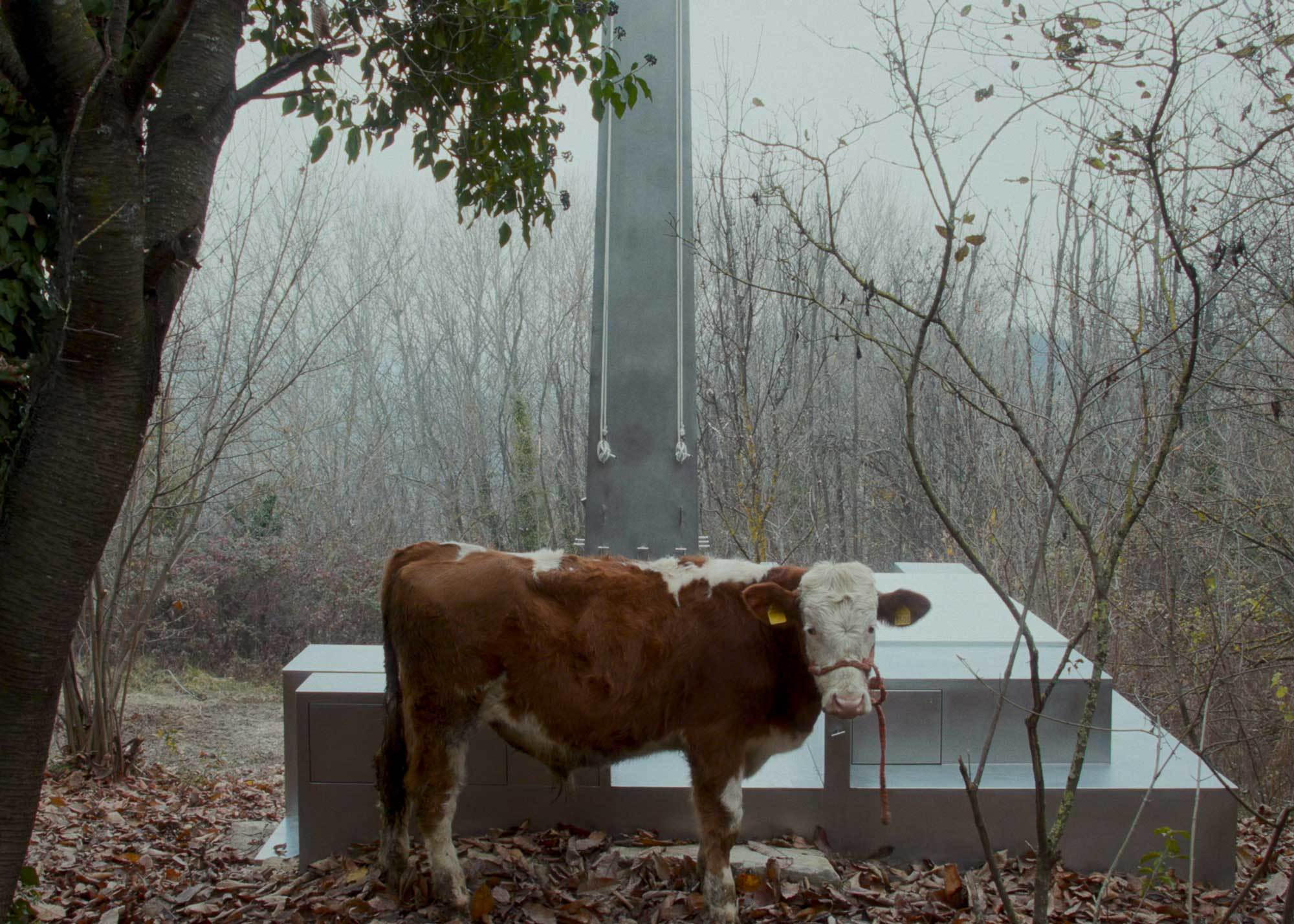 Tiere sind eingeladen, am integrierten Trog zu trinken.