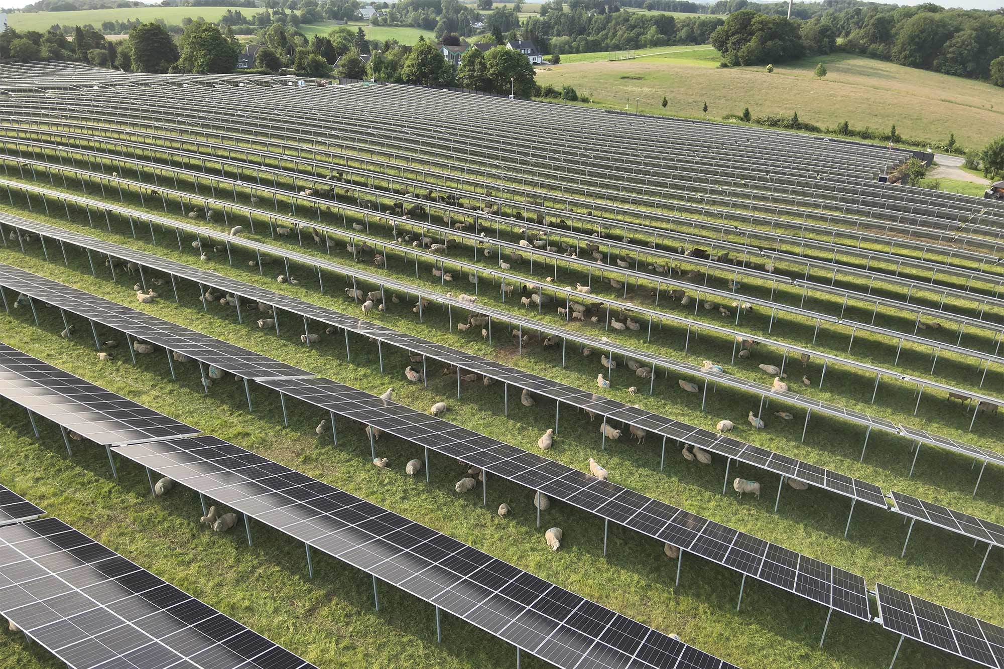 Der Solarpark von Gira in Radevormwald deckt 40 Prozent des Strombedarfs im Unternehmen ab.