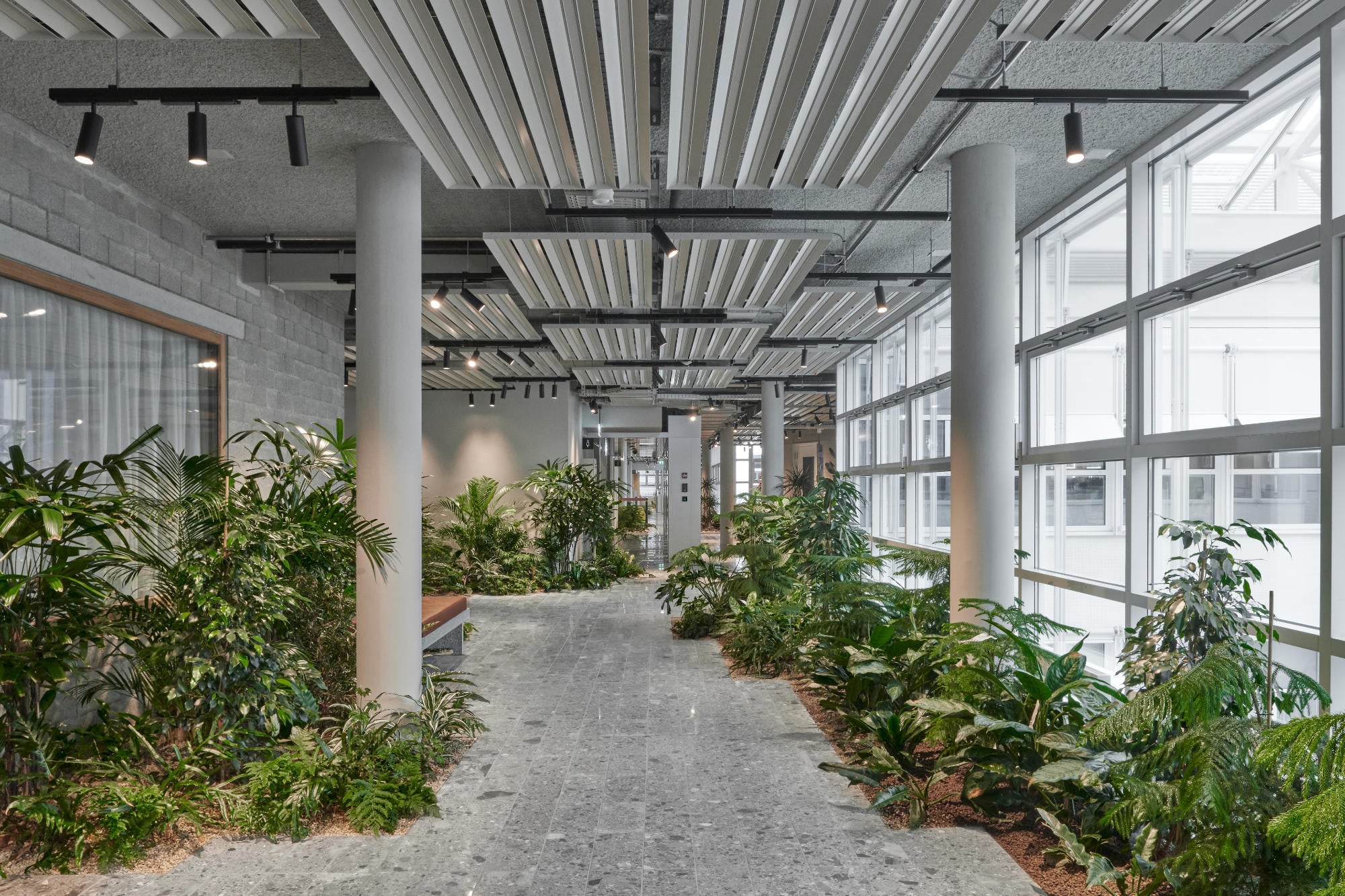 Im neuen Headquarter des Unternehmens Holcim im schweizerischen Zug verbindet eine 180 Meter lange Green Lane die Büroflügel und wird mit lauschigen Lichtungen und versteckten Picknickplätzen zum tropischen Pausenraum.