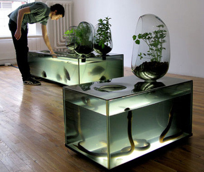 Die Fischgründe in den eigenen vier Wänden