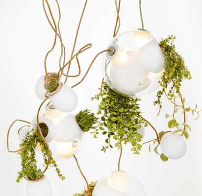 Bepflanzbare Glasleuchte von Bocci wirkt so schwerelos und organisch wie ein leuchtendes Rankgewächs
