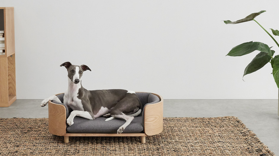 Hundeleben: Wie man sich bettet, so liegt man – das gilt auch für den besten Freund des Menschen.