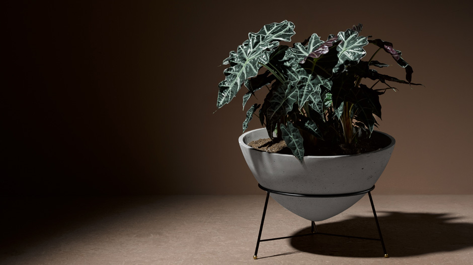 Reedition einer Betonvase von Sergio Rodrigues