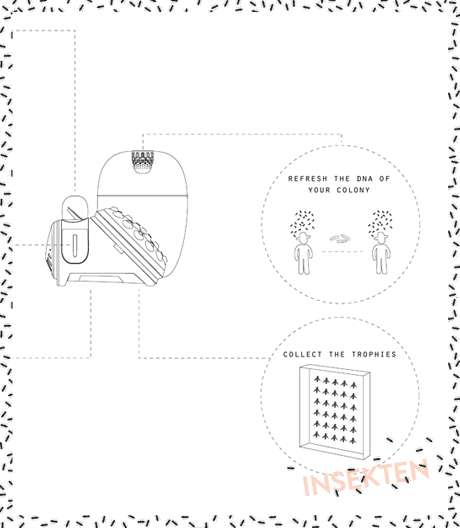 432 Stunden Verwandlung: Brutsystem zur häuslichen Larvenzucht.