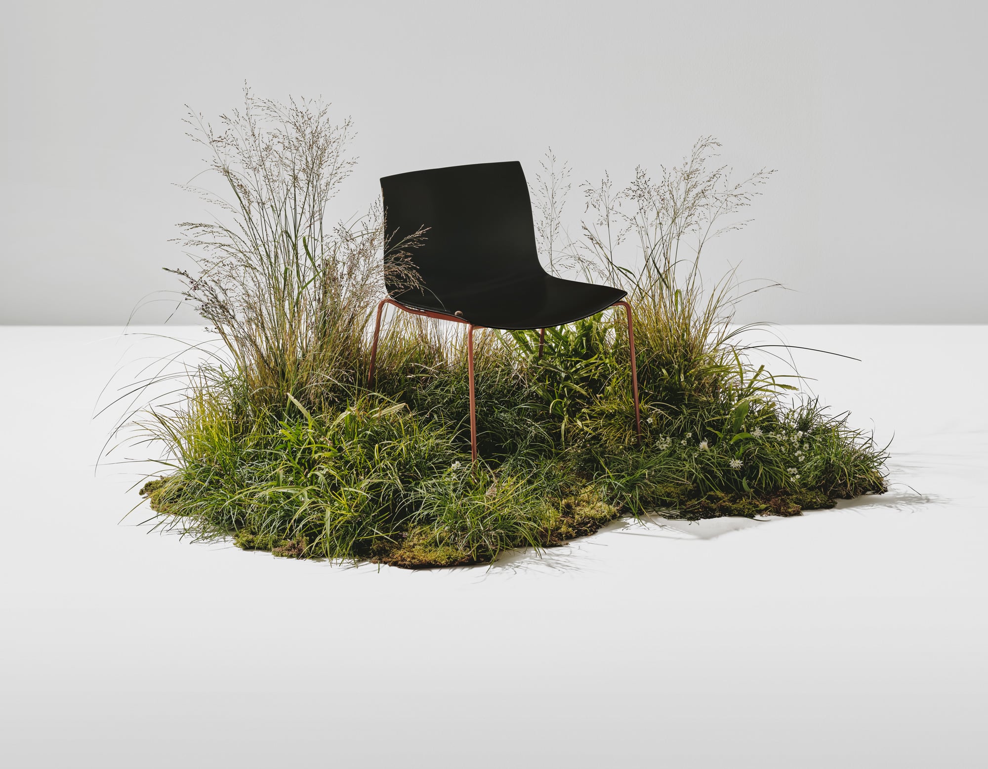 Wie ein Stuhl Kreislaufdenken, Ästhetik und Klimaschutz zusammenführt