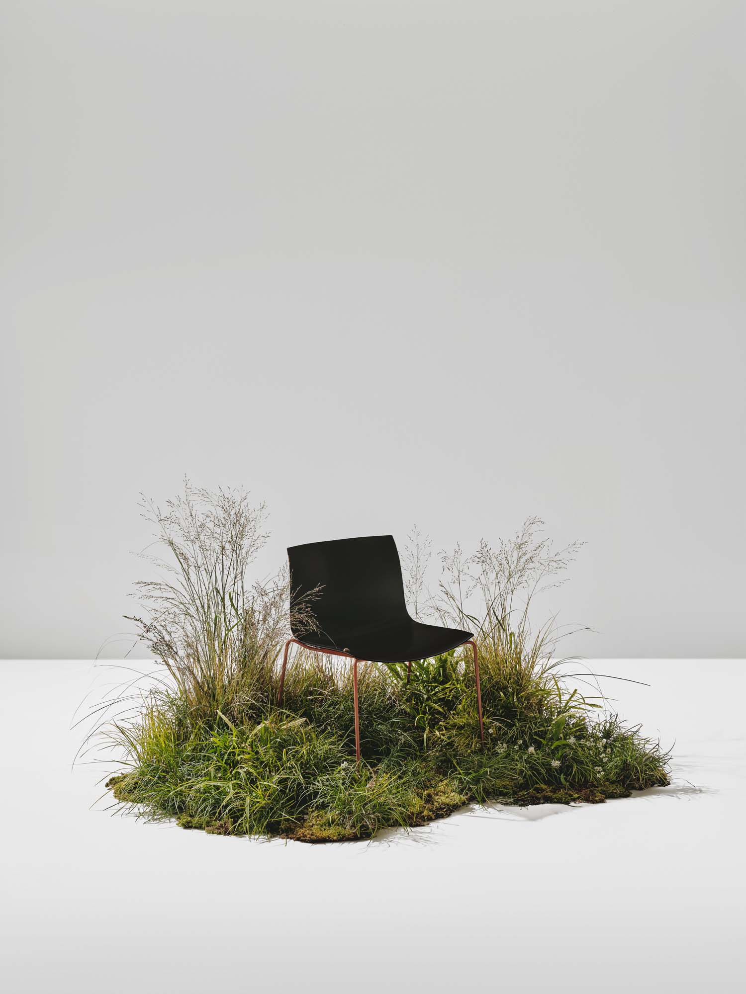 Wie ein Stuhl Kreislaufdenken, Ästhetik und Klimaschutz zusammenführt