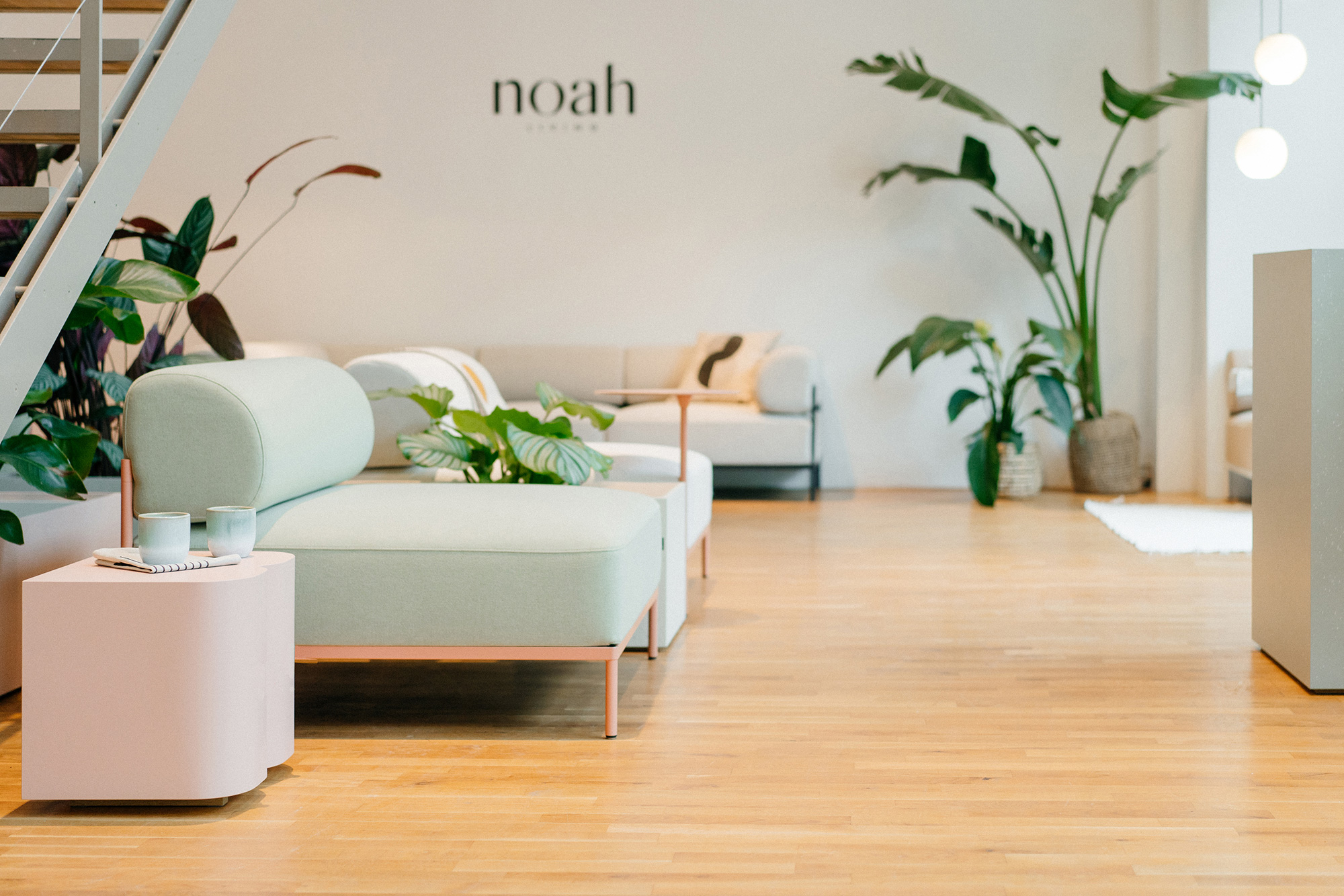 Dario Schröder über die Erfolgsstory von Noah Living