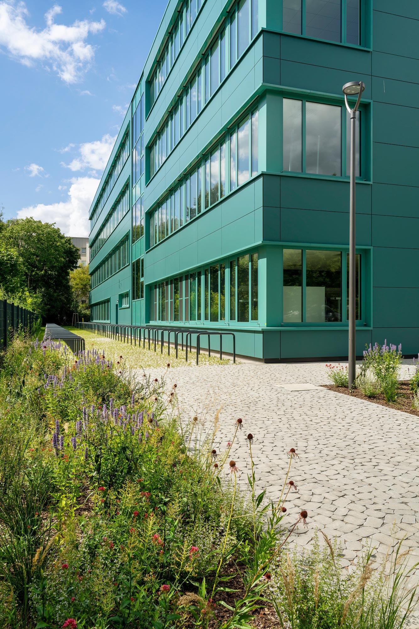 Grüner Schulhof in Berlin von Bacher Landschaftsarchitekten