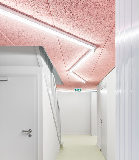 Diese Kita in Tübingen hat eine ungewöhnliche Akustikdecke.