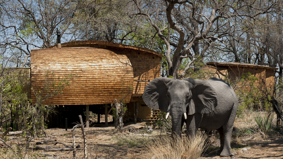 Elefanten, Krokodile, Löwen, Büffel: die Sandibe Safari Lodge von Michaelis Boyd Associates in Botswana.