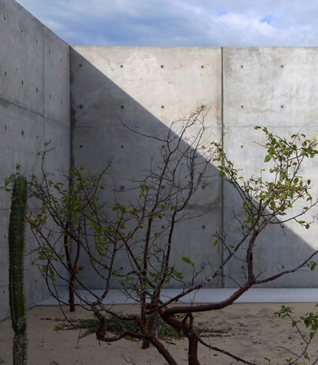 Palapa an Beton: Tadao Ando hat sechs Künstlerresidenzen in Südwestmexiko entworfen.