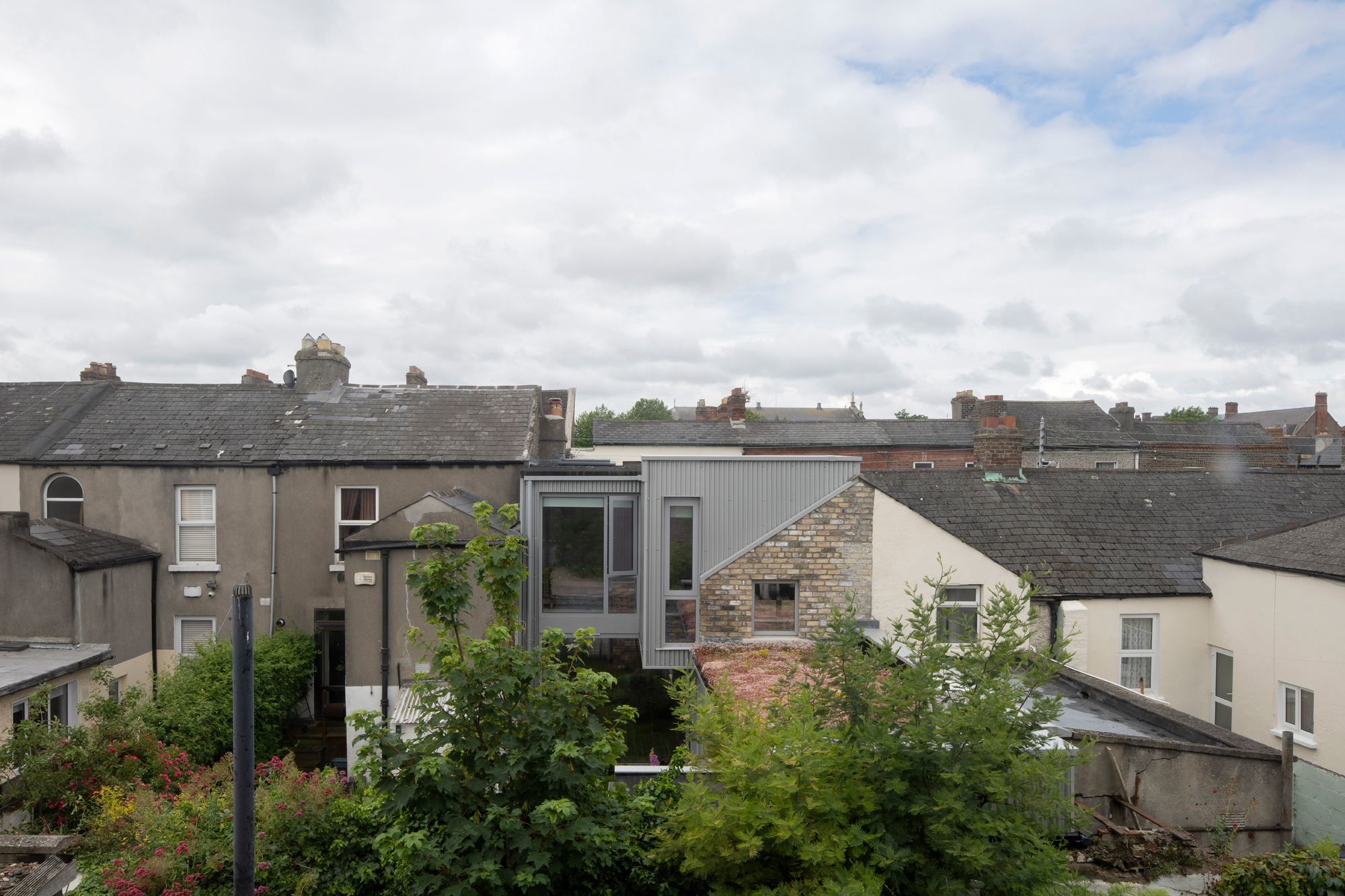 Anbau von Declan Scullion in Dublin