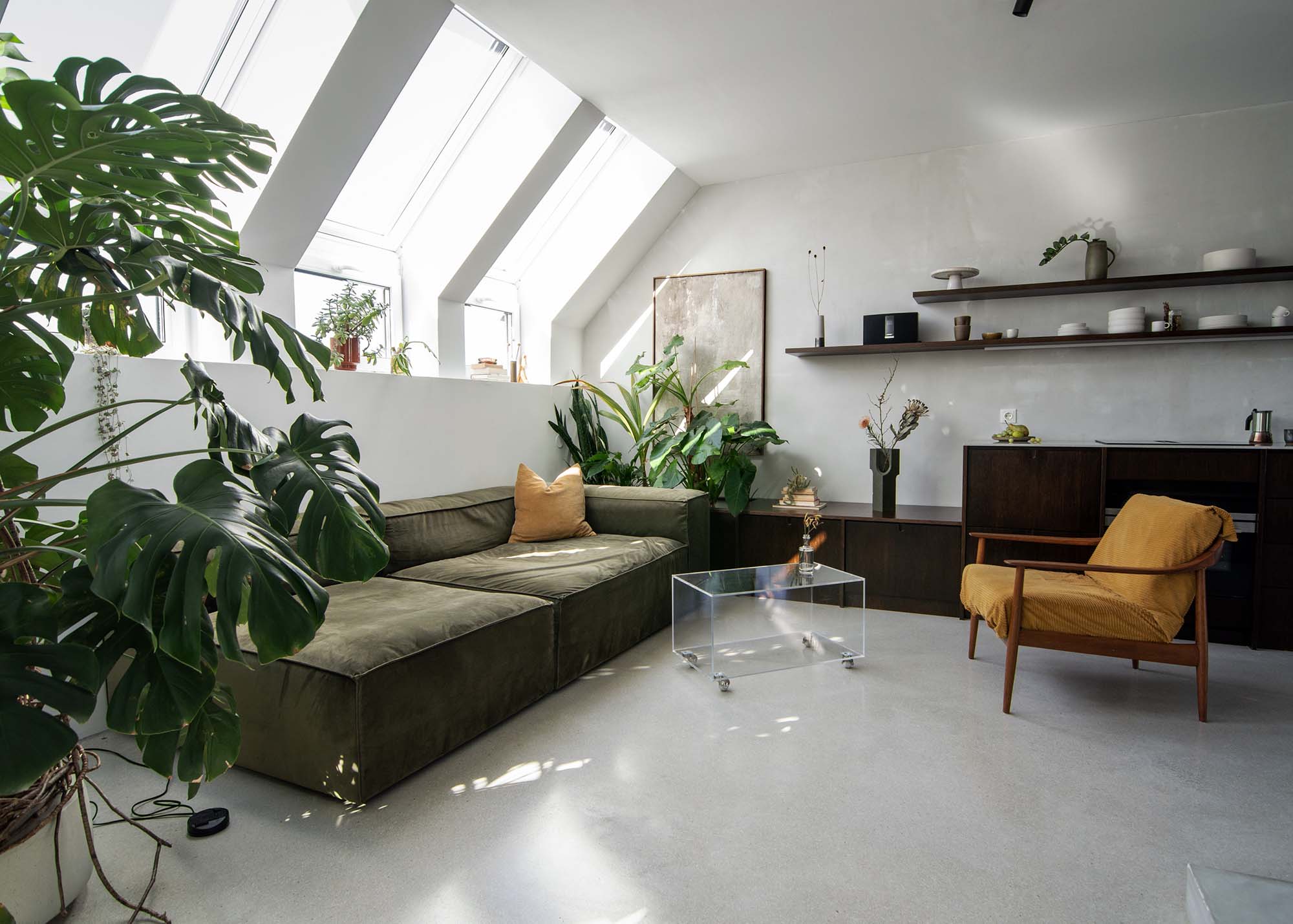 Studio Hatzenbichler gestaltet ein Wiener Loft mit Beton und Grünpflanzen