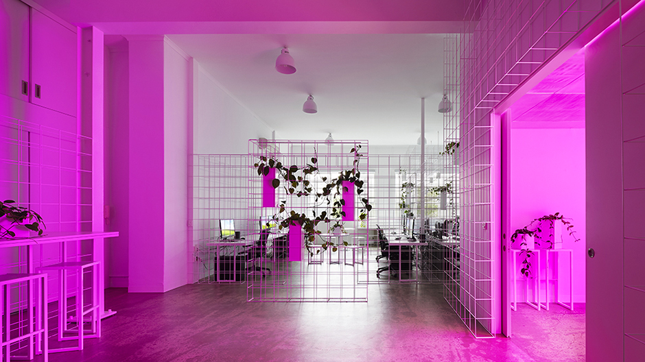 Dieses Büro eines Animationsstudios in Melbourne geht komplett im digitalen Raster auf.