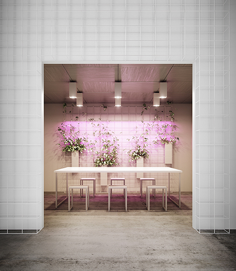 Dieses Büro eines Animationsstudios in Melbourne geht komplett im digitalen Raster auf.