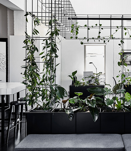 Ein gezähmter Indoor-Dschungel in Melbourne.