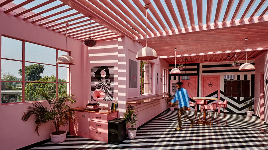 Ein exzentrisches Zebra in Uttar Pradesh