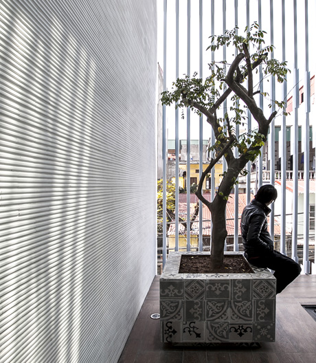 Schlichte Architektur und üppige Natur: eine spannungsreiche Kombination in einem Wohnhaus in Hanoi.