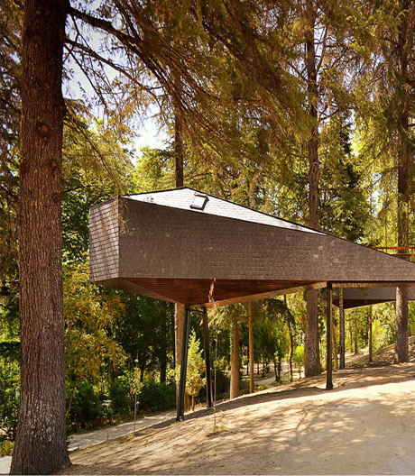 Bewohnbare Reptilien: zwei kompakte Wohneinheiten erobern die Bauwipfel.  