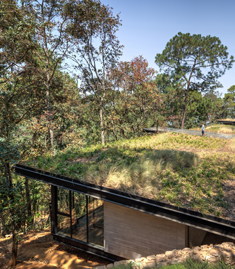 Tuchfühlung mit der Natur: die Casa Irekua Anatani im mexikanischen Valle de Bravo.
