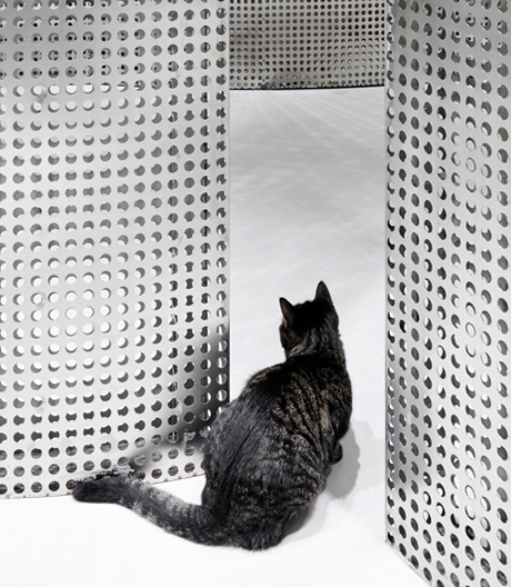Eine Katzen- und Hunde-Boutique mit düsterer Vergangenheit