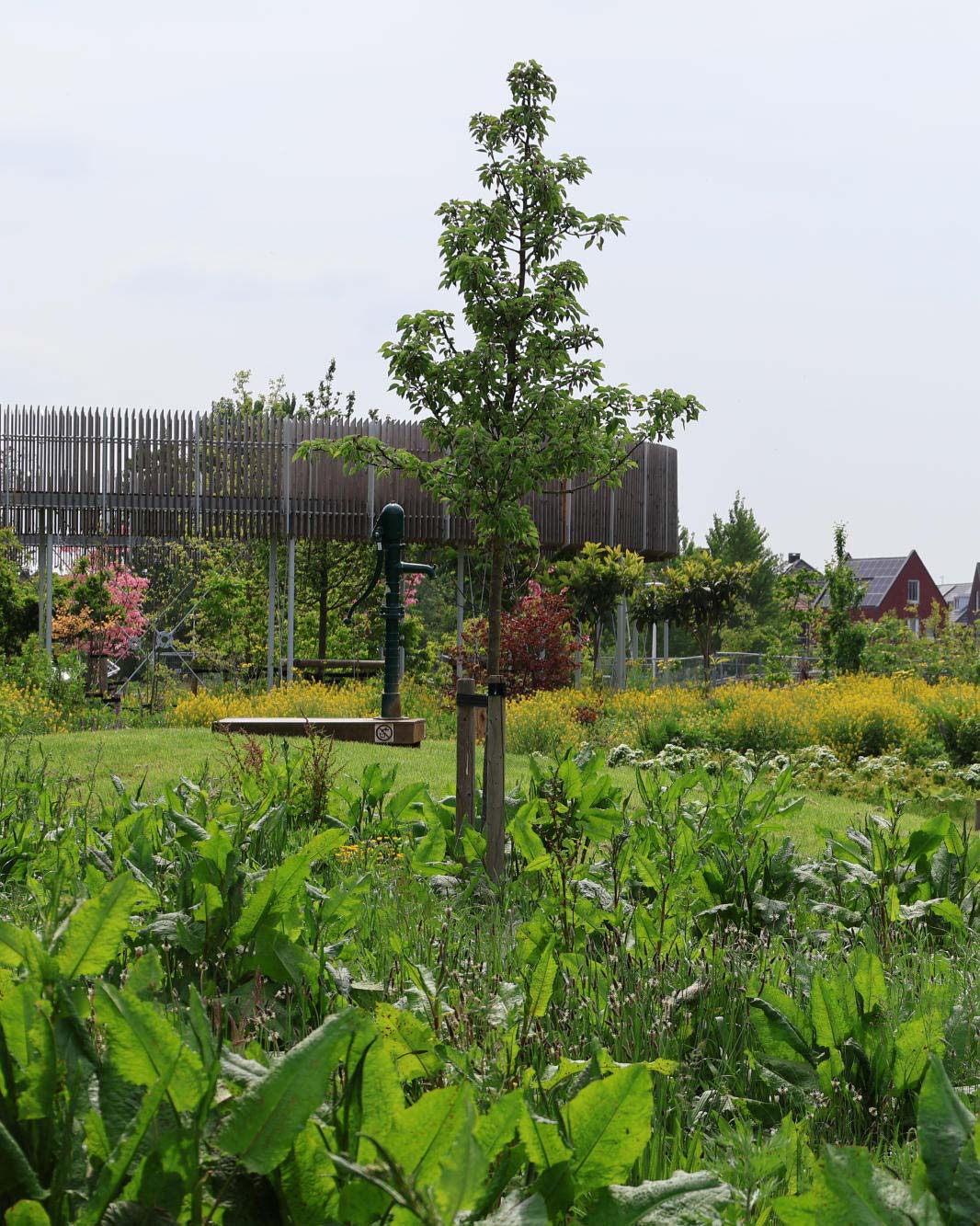 Urbane Gärten und Wälder für alle