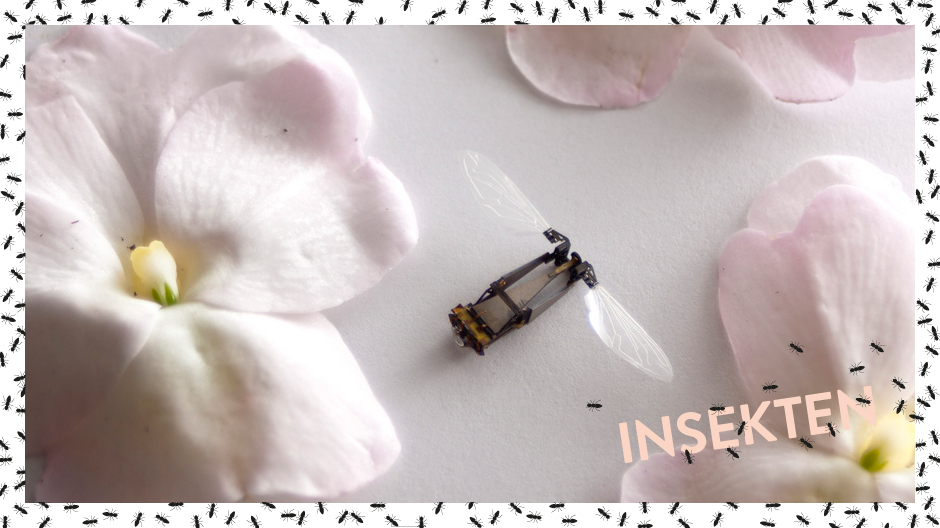 Sie sind klein, wendig und unglaublich schnell: Drohnen nach den Vorbildern von Insekten. 