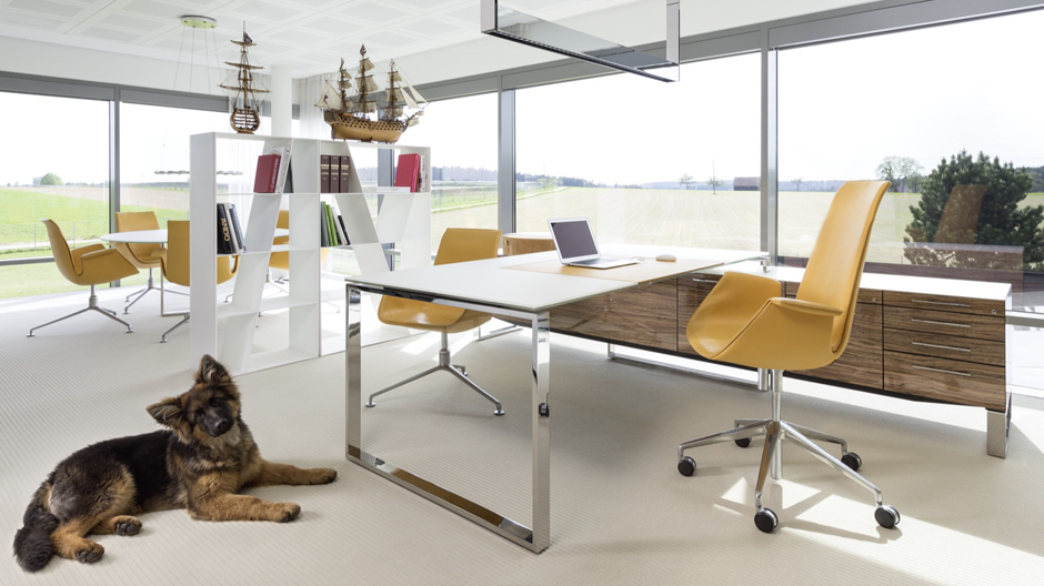 Jenseits von Trends: Wie ein Familienunternehmen aus dem Schwarzwald erfolgreich am internationalen Möbelmarkt besteht.