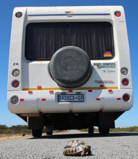 Reisen auf Rädern: Auf dem Caravan Salon Düsseldorf zeigte die Branche die neusten Wohnwagen und Reisemobile.