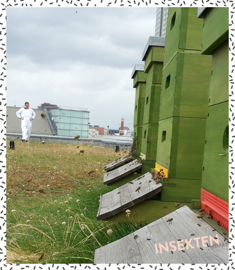 Zentrale Wohnlage bevorzugt: Bienen lieben's urban.