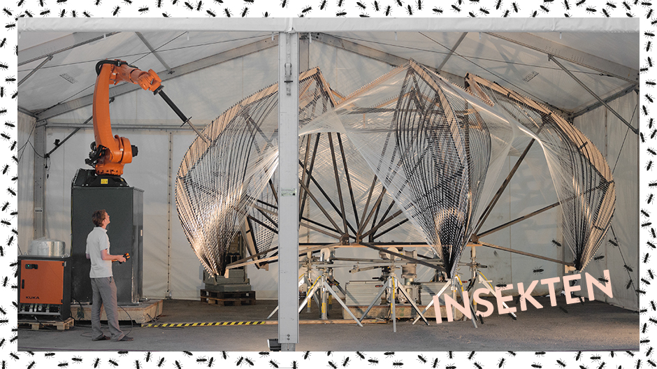 Design inspiriert von den Panzeranzügen der Gliedertiere.