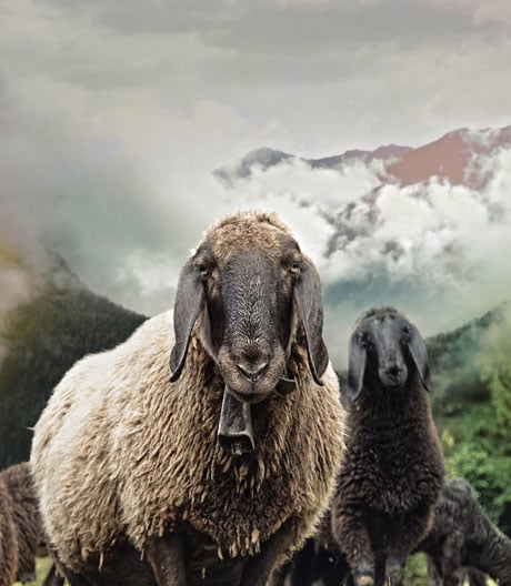 Eine Begegnung mit Architekten, Designern, Handwerkern und ihren Lebensentwürfen.