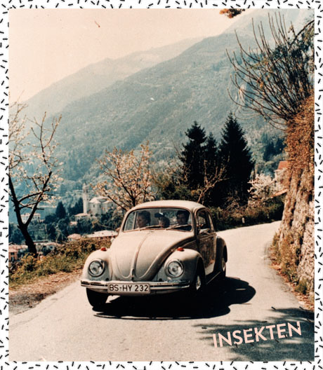 Eine Designgeschichte mit Hindernissen: der Volkswagen-Käfer.