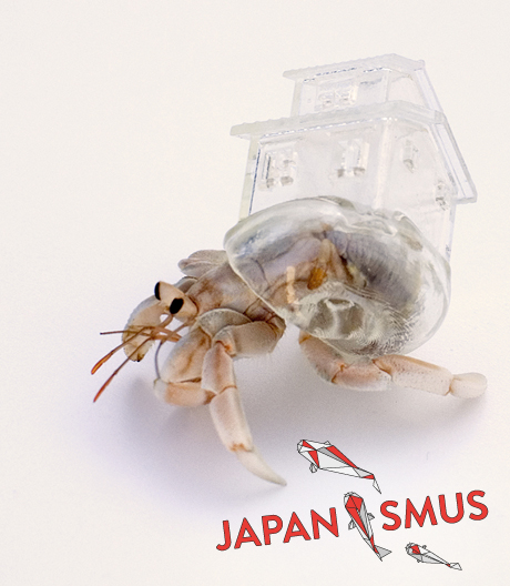 Neues Haus, neue Indentität: Die japanische Künstlerin Aki Inomata hat nationaltypische Behausungen für Einsiedlerkrebse entworfen.