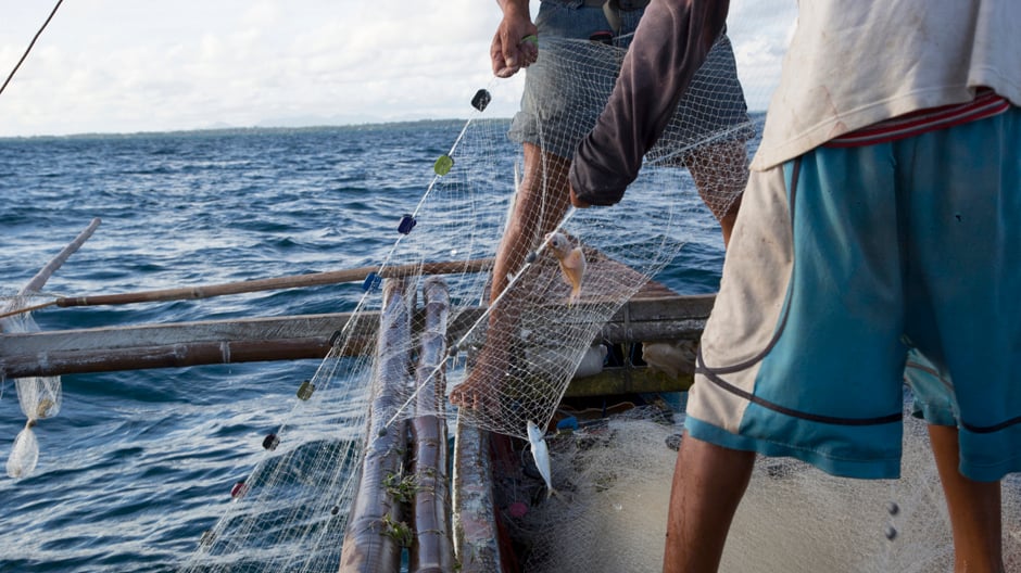 Meeresrauschen für's Büro: Interface verwandelt alte Fischernetze in neue Teppichfliesen.