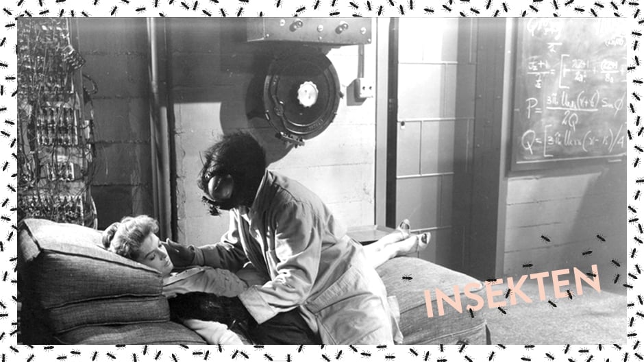 Seit Jahrzehnten in der Bösewicht-Rolle: die Geschichte der Gliederfüßer im Kino.