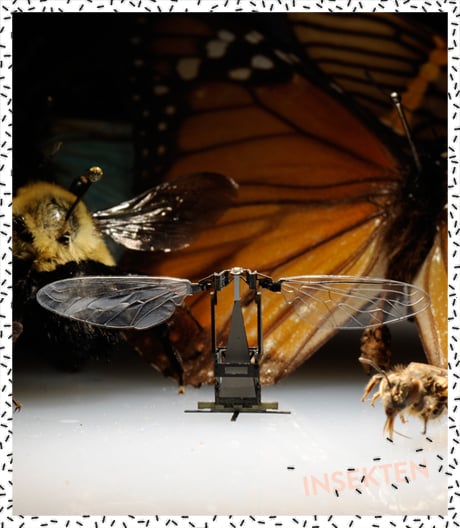 Sie sind klein, wendig und unglaublich schnell: Drohnen nach den Vorbildern von Insekten. 
