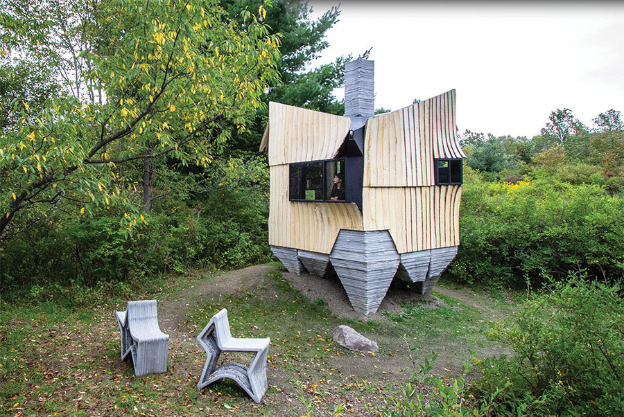 Upcycling schädlingsbefallener Eschen 