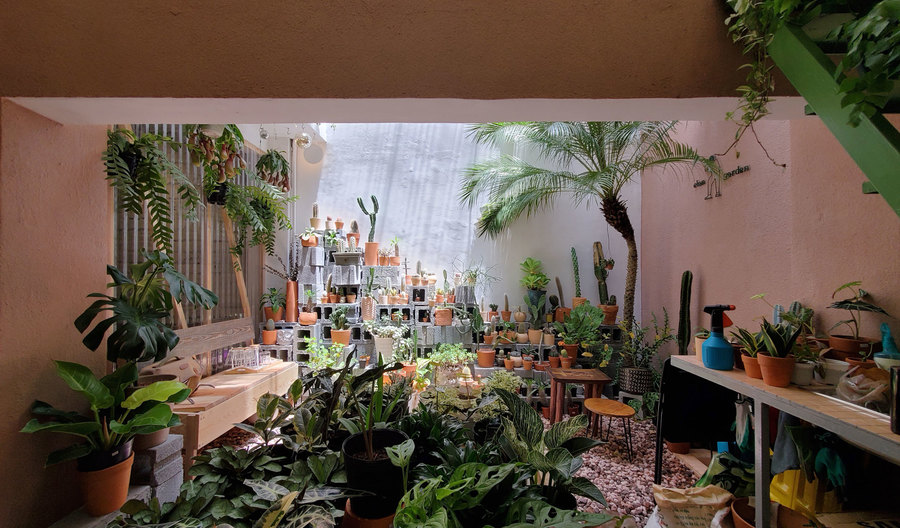 Pflanzenshop von Nhabe Scholae in Vietnam